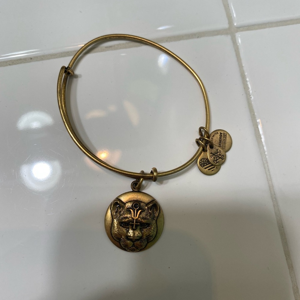 Alex and Ani Bracelet